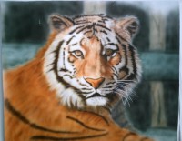 Tigre hiperrealista