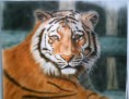 /products/tigre-hiperrealista/